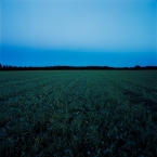 FROM THE SERIES: NIGHTLANDSCAPES