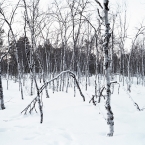UNTITLED