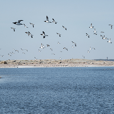 SUOMEN LUONTO / ARCHIPELAGO OF <br> THE EASTERN GULF OF FINLAND