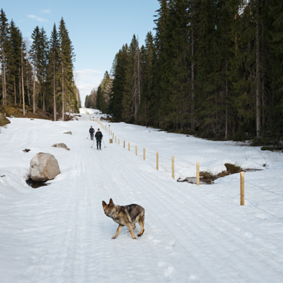 THE WASHINGTON POST / HOW PUTIN <br> PUSHED FINLAND TOWARDS NATO