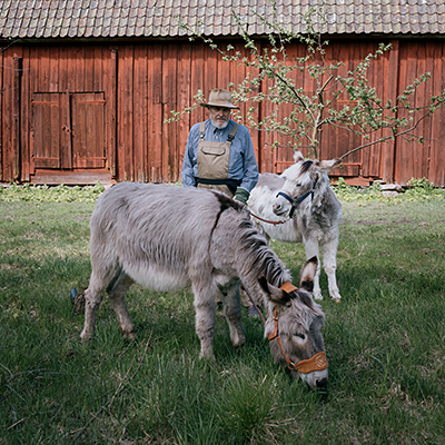 MONOCLE MAGAZINE  / <br> CALL OF THE WILD